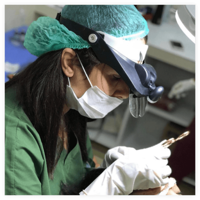 UKHT Doctor